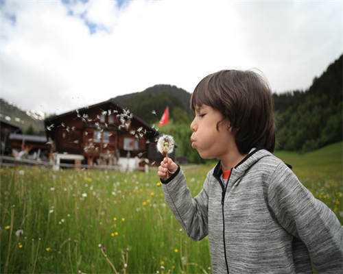 哪里有代怀公司-代怀孕网地址,怀孕4周，桂圆还能继续吃吗？
